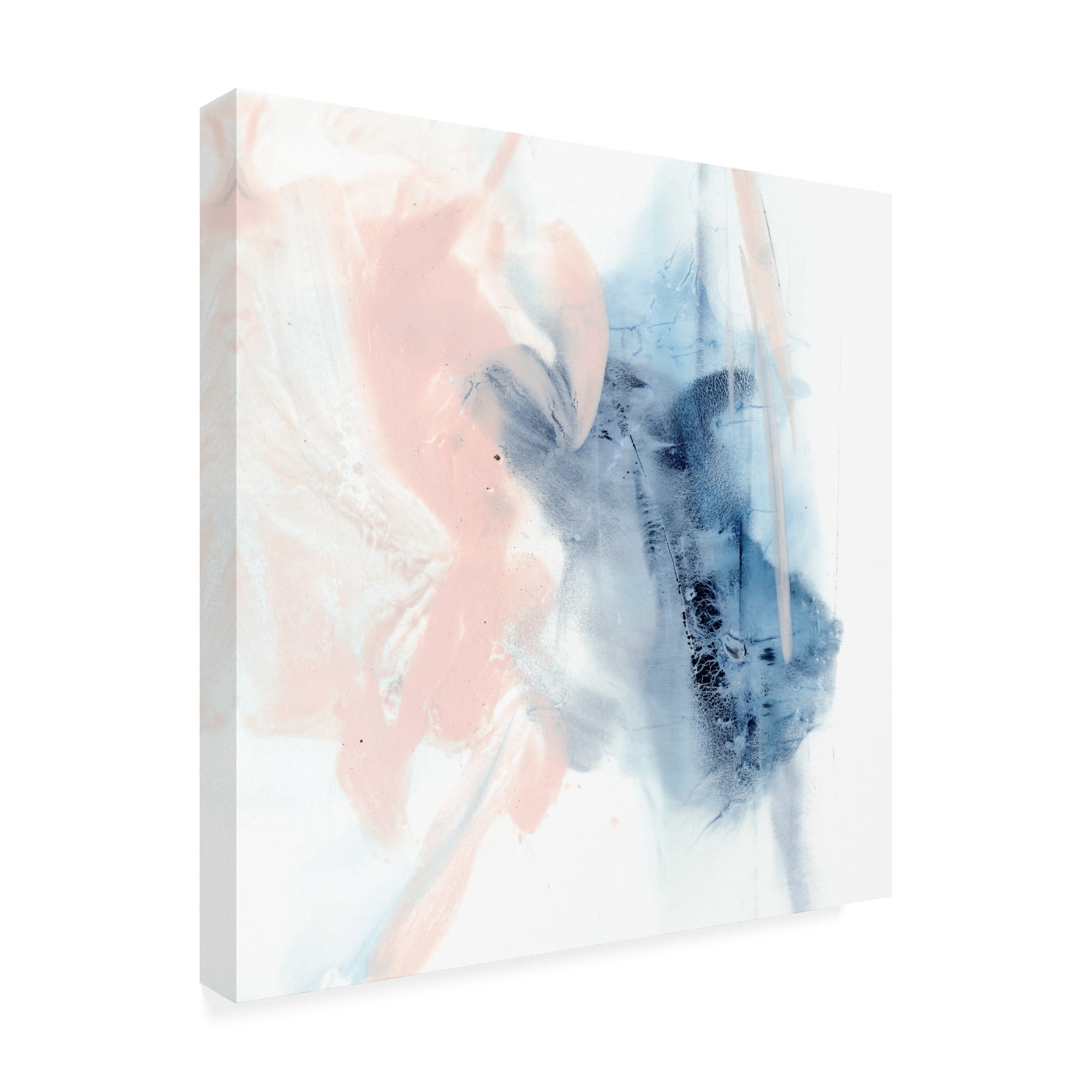 Trademark Fine Art 'Indigo And Blush III' Canvas Art by Ethan Harper