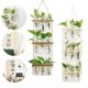 thumbnail image 3 of Maceta montada en la pared, soporte de madera para plantas, estaciones de propagación grandes de 3 niveles, decoración de soporte de madera, 3 of 5