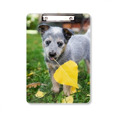 thumbnail image 1 of Handsome Puppy Pet Photography Picture Clipboard Folder Writing Pad Backing Plate A4, 1 of 4