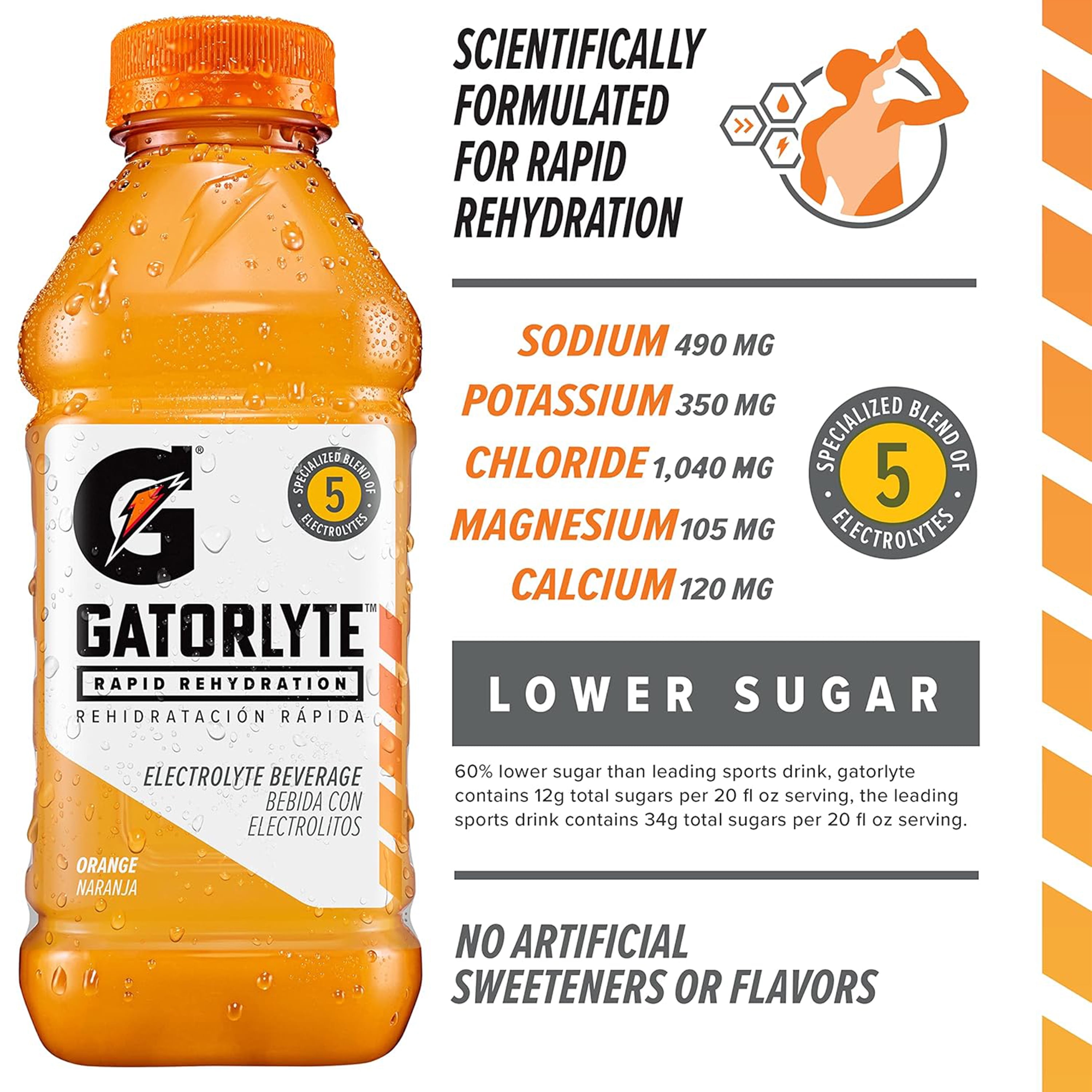 Gatorade Gatorlyte Rapid Rehydration Electrolyte Beverage No Allergen-Free Claims Apply 3 Flavor Variety pack, 20 fl oz (pack of 12)