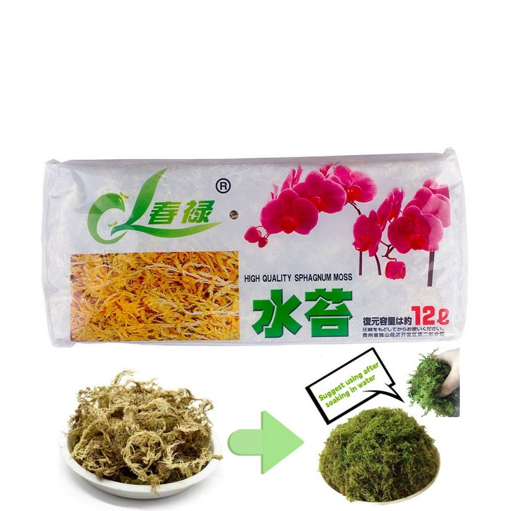 Comment Utiliser la Sphaigne au Quotidien pour des Plantes en Pleine S – Jungle Feed