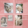 thumbnail image 5 of Lomyolo 85PCS Natural Dried Pampas Grass Bouquet,Boho Home Decor Bouquet, Phragmites Dried Flowers,Bouquet for Wedding Floral Arrangements Home Decorations, 5 of 6