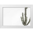 thumbnail image 1 of Artographie Studio 18x13 White Modern Wood Framed Museum Art Print Titled - Cactus 004, 1 of 4