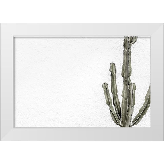 Artographie Studio 18x13 White Modern Wood Framed Museum Art Print Titled - Cactus 004