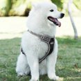 thumbnail image 1 of LIVINGbasics Dog Harness No-Pull Harness Adjustable Outdoor Pet Vest 3M Reflective Oxford Material Vest, 1 of 7