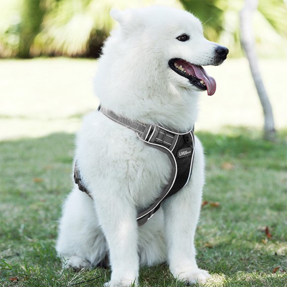 LIVINGbasics Dog Harness No-Pull Harness Adjustable Outdoor Pet Vest 3M Reflective Oxford Material Vest