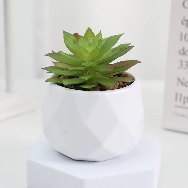 Zhuge 3 piezas de plantas de simulación en maceta, pequeñas plantas falsas en maceta, mini plantas artificiales de escritorio (A39)