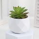 thumbnail image 1 of Zhuge 3 piezas de plantas de simulación en maceta, pequeñas plantas falsas en maceta, mini plantas artificiales de escritorio (A39), 1 of 5