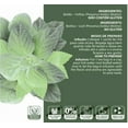 thumbnail image 3 of Cha Mais Brasileiro Boldo  Pack of 3x10g  Brazilian Tea Boldus Leaf  Brazil in Texas  Bundle, 3 of 6
