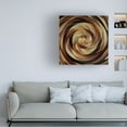 thumbnail image 3 of David Manlove 'Cinnamon Roll' Canvas Art, 3 of 3