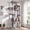 Light Grey, variant on Globlazer 70" Multi-Level Cat Tree Tower for Large Cats with Condo Scratching Post and Hammock, Light Grey