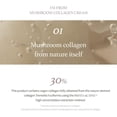 thumbnail image 3 of I'M FROM Mushroom Collagen Cream 50ml, 3 of 11