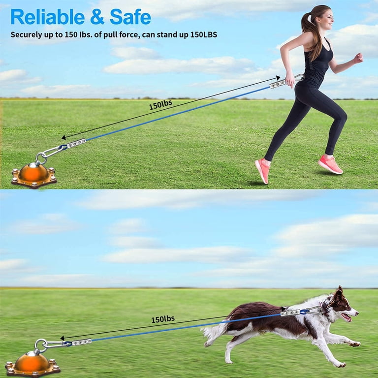 Dog Tie Out Cable and Ground Stake 10 Ft photo 6