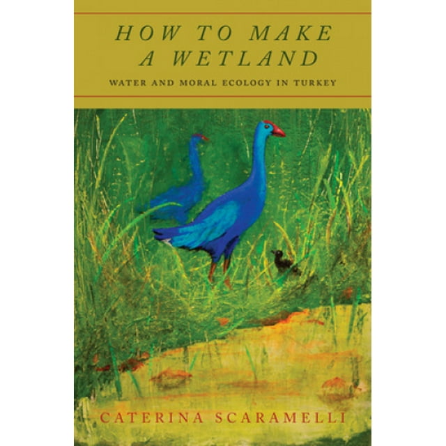 How to Make a Wetland: Water and Moral Ecology in Turkey
