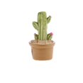 thumbnail image 4 of Macetas en miniatura Bonsai Craft Micro Fairy Garden Ornament DIY Mini Dollhouse PICK shamjiam Miniature Dollhouse Decoración, 4 of 8