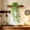 B, variant on Hanging Artificial Pothos with Pot, Faux Trailing Green Vine Plant for Indoor Wall Shelf Home Decor