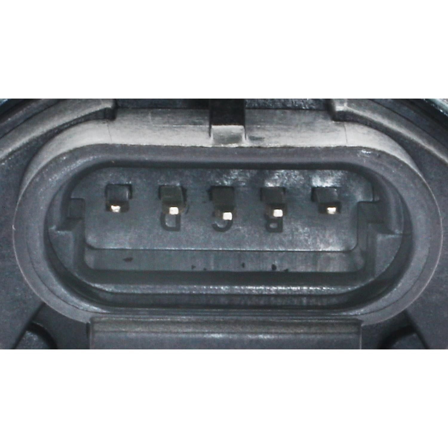 EGR Valve