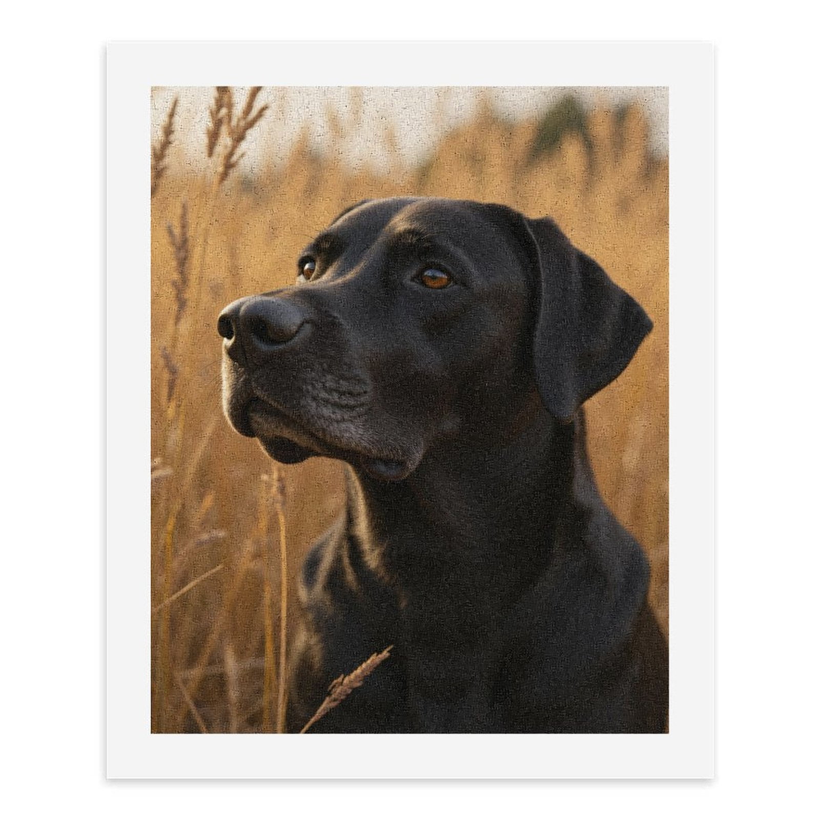 Paint by Numbers Kit for Adults, Black Dog In Wheat Field Paint by Numbers, Easy Paint by Numbers Kit for Adults Beginner, DIY Adult Paint by Number Kits on Canvas, Home Decor