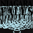 thumbnail image 3 of CafePress - Niagara Falls Women's Dark T Shirt - Women's Traditional Fit Dark T-Shirt, 3 of 4