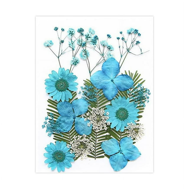 KLKCMS Dried Pressed Flowers Craft Making Beautiful Real Dried Flowers for Scrapbooking Blue