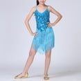 thumbnail image 2 of XXWXYD Stage-Ready Latin Dance Set, Sequin Fringe Tassel Skirt & Sleeveless Top, Competition Dress with 4-Way Stretch Fabric, 2 of 8