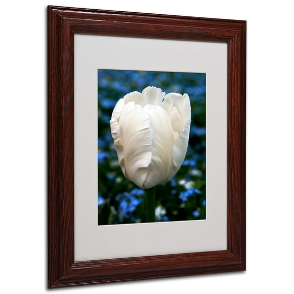 Trademark Fine Art "Parrot Tulip" Canvas Art by Kurt Shaffer, Wood Frame