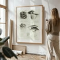 thumbnail image 3 of Mushrooms - Drawing Botanical Nature Black and White Vintage Floral Line Art Illustration Unframed Wall Art Print 36 x 48 inches, 3 of 16