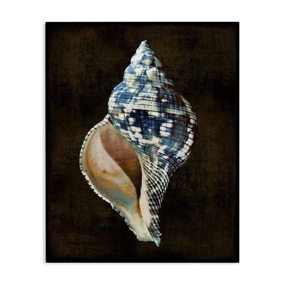 Stupell Industries Coastal Dark Patterned Conch Shell Canvas Art, 16 x 20, by Caroline Kelly