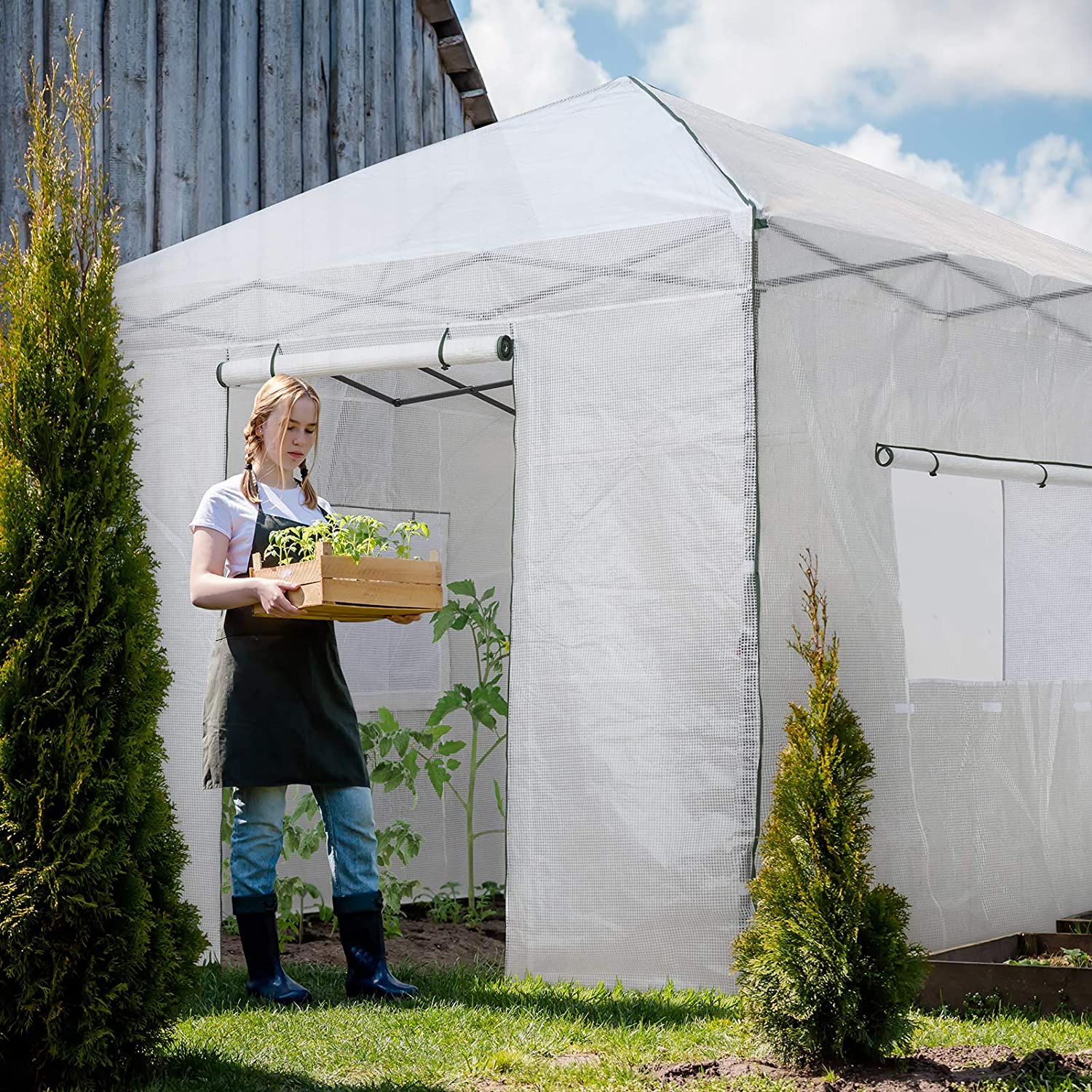 EAGLE PEAK 10'x 10' Portable Walk-in Greenhouse Instant Pop-up Easy Setup  Indoor Outdoor Plant Gardening Green House Canopy, Front and Rear Roll-Up  Zipper Entry Doors and Large Roll-Up Side Windows