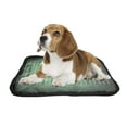 thumbnail image 2 of PKQWTM American Football Field Pet Dog Cat Bed Pee Pads Mat Cushion Potty Dogsblankets Crate Bed Kennel 14x18 inch, 2 of 3
