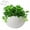 White, variant on TRIANU Hanging Vertical Planter, Hanging Planters Free Combination Wall Planter for Yard, Garden, Outdoor and Indoor, Khaki