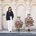thumbnail image 3 of DR.Planzen Artificial Bougainvillea Tree 4FT UV Resistant Faux Bougainvillea Plant Fake Tree Pink Bougainvillea Tree - 390 Leaves 273 Flowers Artificial Plant for Indoor Outdoor Decor, 3 of 10
