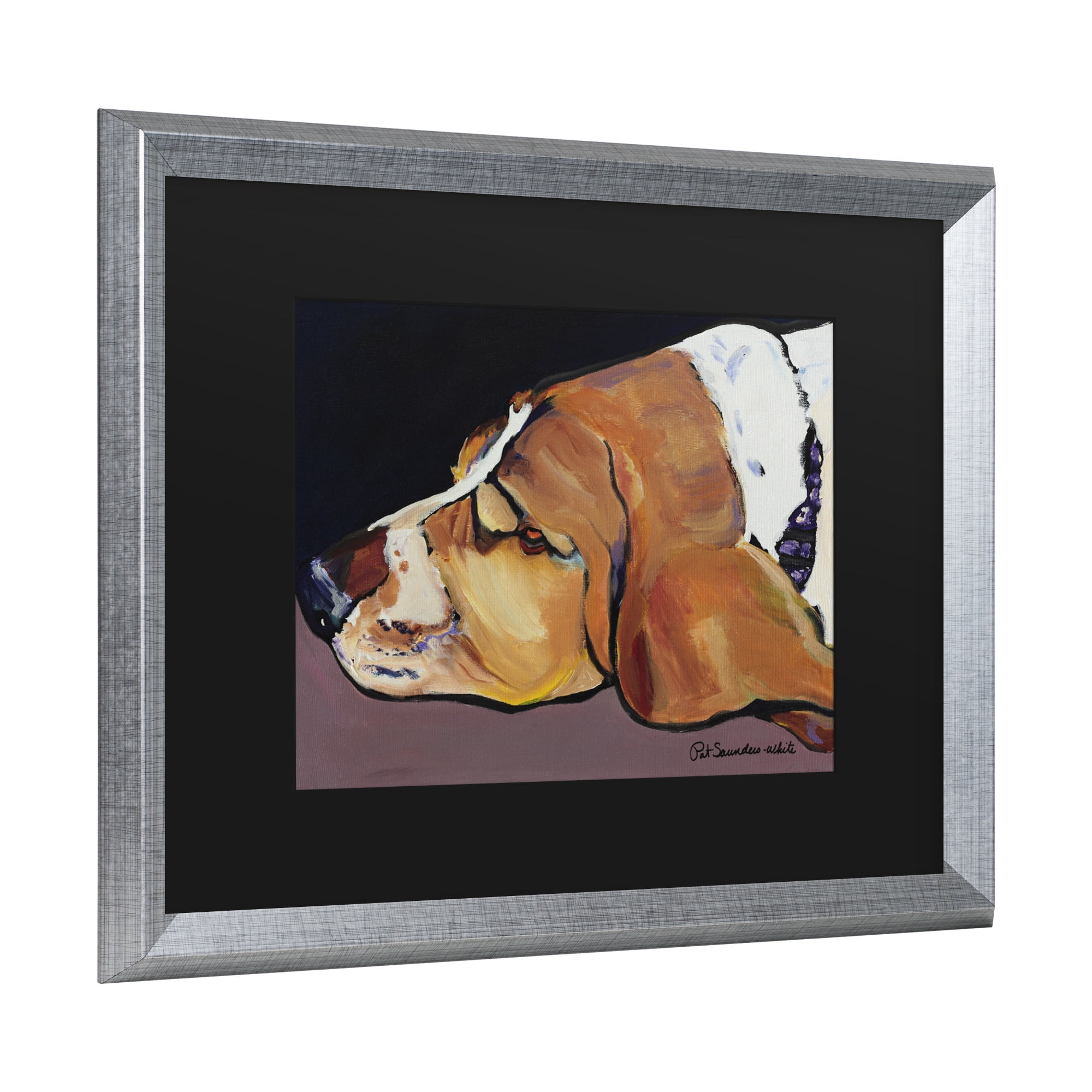 Trademark Fine Art 'Farley' Canvas Art by Pat Saunders-White