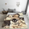 thumbnail image 4 of Husky Cool Mantas Franela Impreso Lovely Dog Portable Super Warm Throw Manta para sofá Travel Bedding Throws, 4 of 5