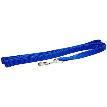 Products DCP406BLU Nylon Collar Lead for Pets, 5/8-Inch by 6-Feet, Blue, All nylon products are carefully and neatly finished for the best look and durability By Coastal (Best Hardwood Finish For Dogs)