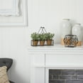 thumbnail image 4 of Nearly Natural 7" Mini Jade Garden Artificial Plant in Hanging Planter, 4 of 4