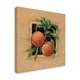 thumbnail image 2 of Trademark Fine Art ' Peach Square' Canvas Art by Barbara Mock, 2 of 3