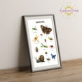 thumbnail image 2 of Eastern Print Educational Insects Poster, Toddler Activity Toys Decor, Preschool Poster, Kids Study Material Wall Art for Nursery, Classroom, Bedroom, Pre School Kids Learning, UNFRAMED 12x18, 2 of 4