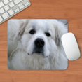 thumbnail image 3 of CafePress - Great Pyr Mousepad - Non-slip Rubber Mousepad, Gaming Mouse Pad, 3 of 6