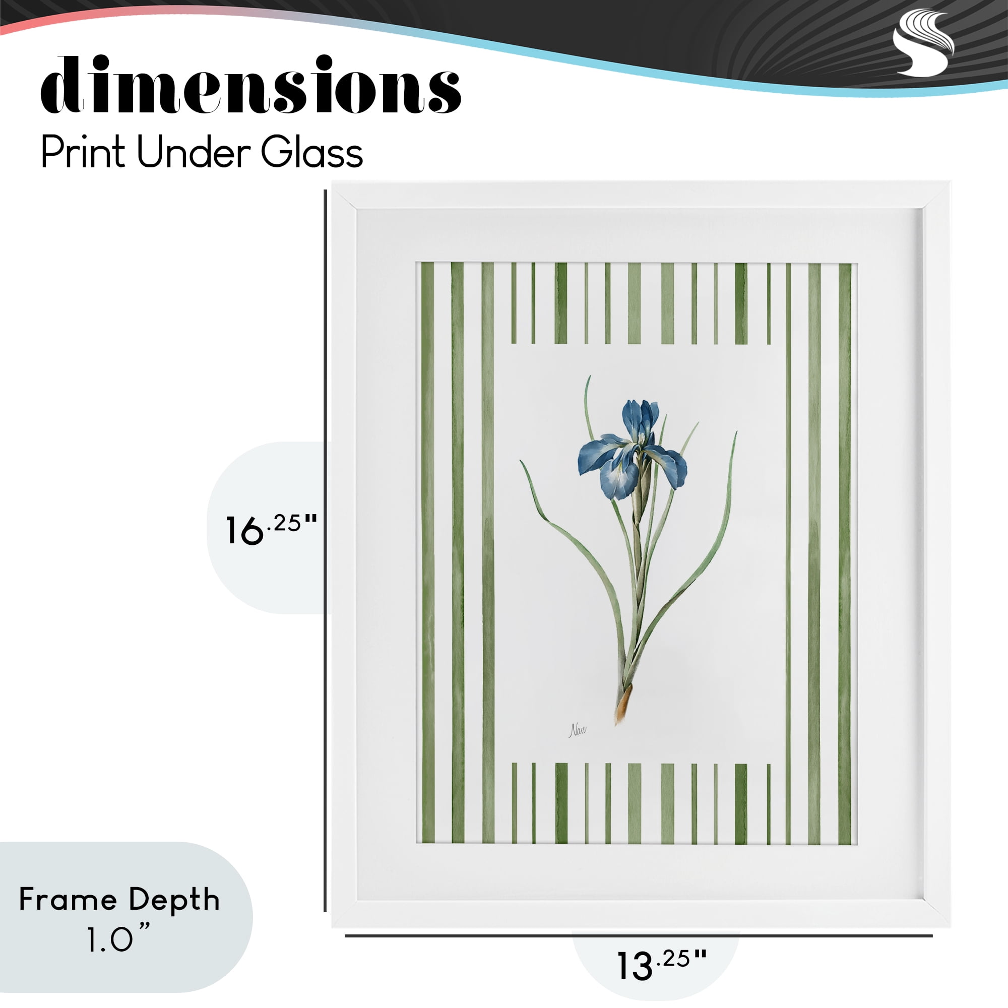 Stupell Industries Spring Iris And Stripes White Framed Print Under Glass, design by Nan