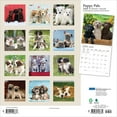 thumbnail image 2 of Puppy Pals | 2026 12x24" (Hanging) Monthly Square Wall Calendar | Plato, 2 of 9