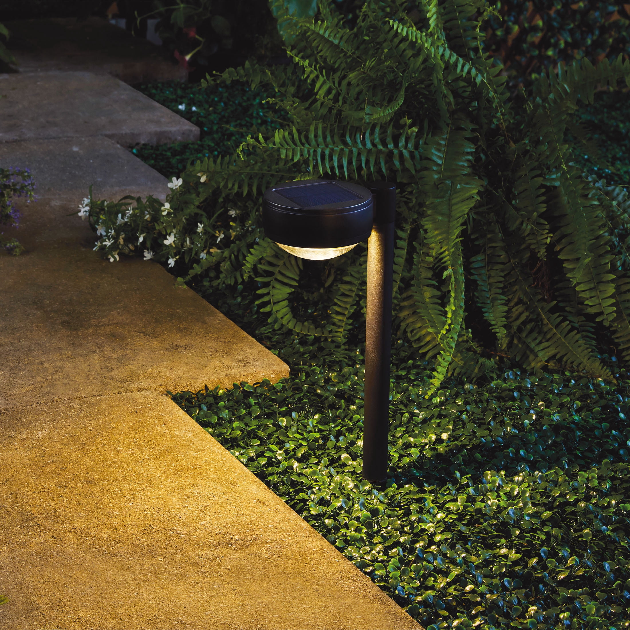 Better Homes & Gardens Solar Powered Black Dome Downlight Walkway and Landscape Light, 20 Lumens