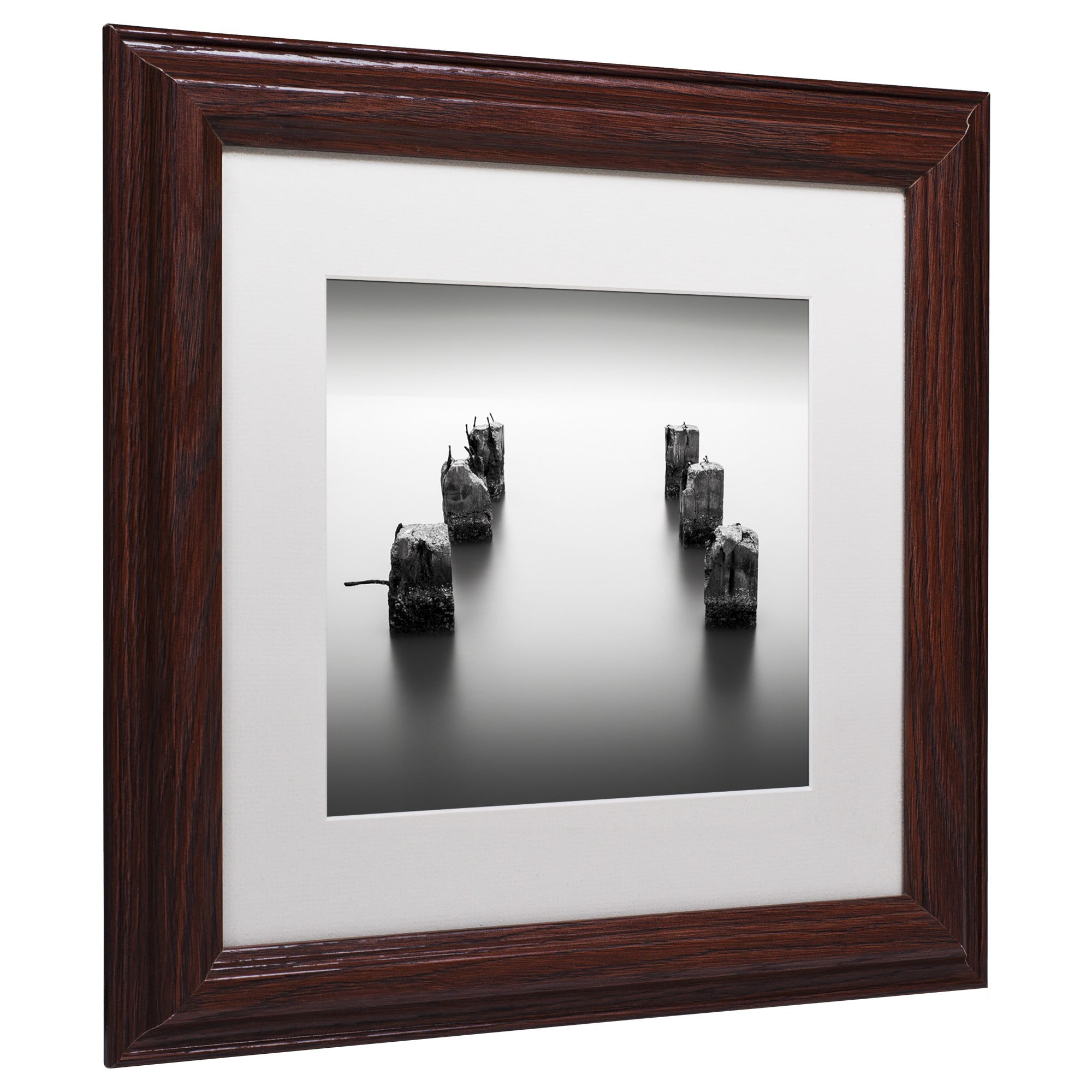 Trademark Fine Art "Pillars" Canvas Art by Dave MacVicar, White Matte, Wood Frame