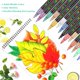 thumbnail image 2 of Juego de 56 Colores de Rotuladores Acrílicos, Punta Extra Fina, Rotuladores para Pintar Rocas, Madera, Metal, Lienzo, Cerámica, Piedras, Manualidades, 2 of 4