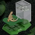 thumbnail image 6 of Reptiles Water Feeder Automatic Dispenser Anti Drowning For Lizards Turtles Bearded Dragons Terrariums Tanks Accessories, 6 of 9