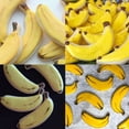 thumbnail image 7 of Fruit Shaped Cookie Cutters, 1Pc Pear/Watermelon/Peach/Strawberry/Pineapple/Banana Shaped Cookie Cutters, Stainless Steel Baking Cutters for Cookies & Crafts, Fun Fruit Cookie Molds for DIY Desserts, 7 of 7