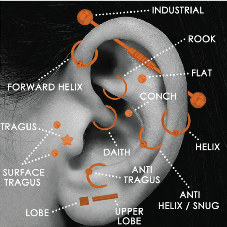 156PC Body Piercing Kit  Belly Ring Nose Septum Tragus Ear Cartilage –  BodyJ4you