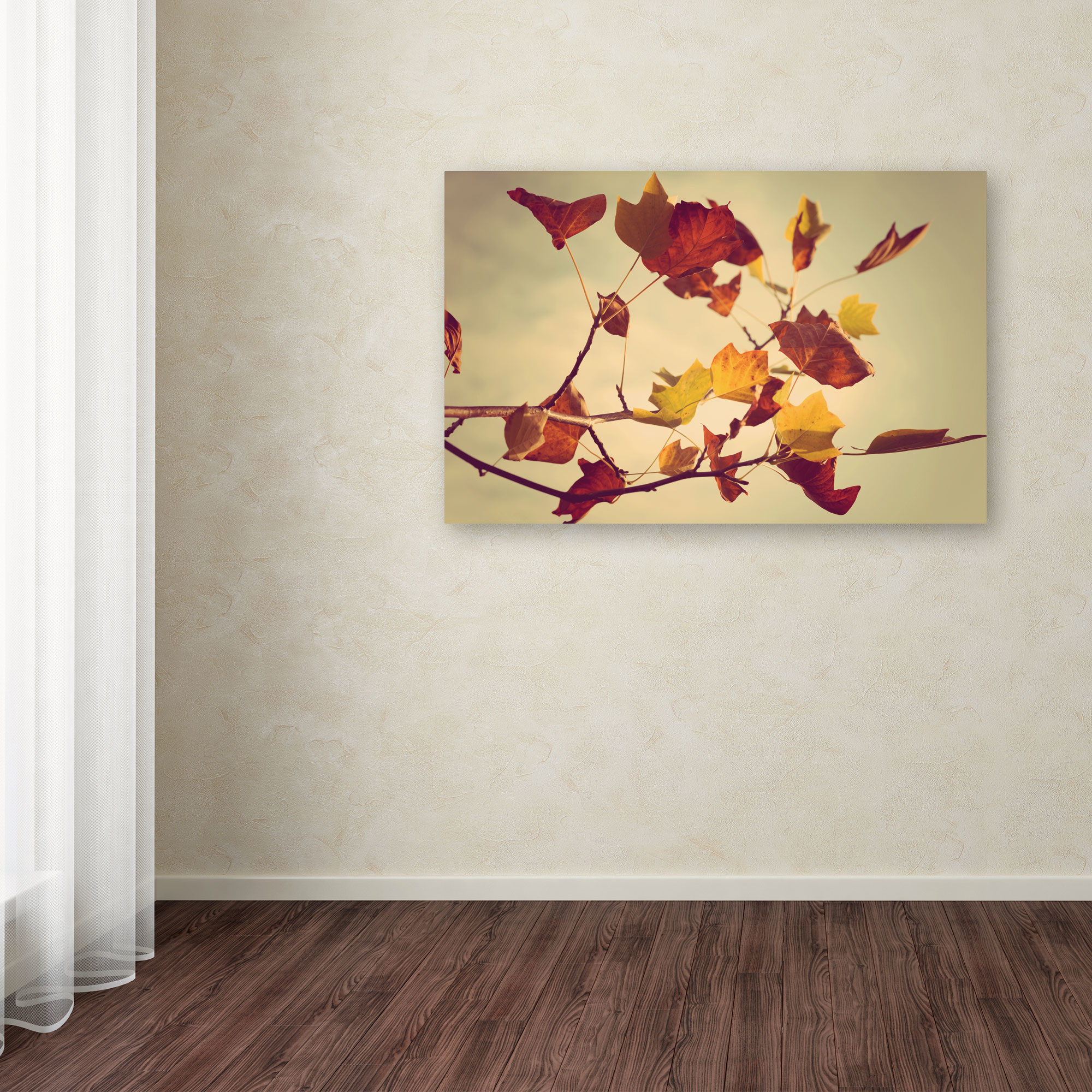 Trademark Fine Art "Still Fall" Canvas Art by Philippe Sainte-Laudy