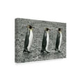 thumbnail image 2 of Trademark Fine Art 'The Bachelors' Canvas Art by Wild Apple Portfolio, 2 of 3
