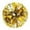 Gold Silver, variant on 2 Pack Cheerleading Pom poms with Baton Handle Plastic Ring Cheer Poms Cheerleading Pompoms for Sports Party Dance Team Cheering